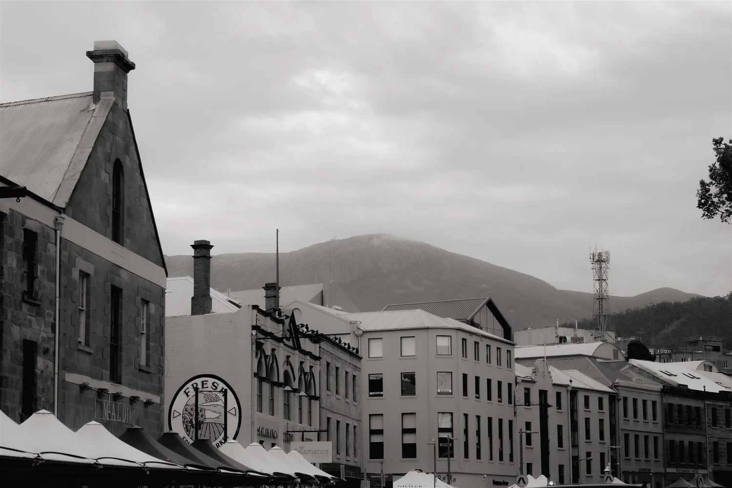 Luke Brett in his Hobart office